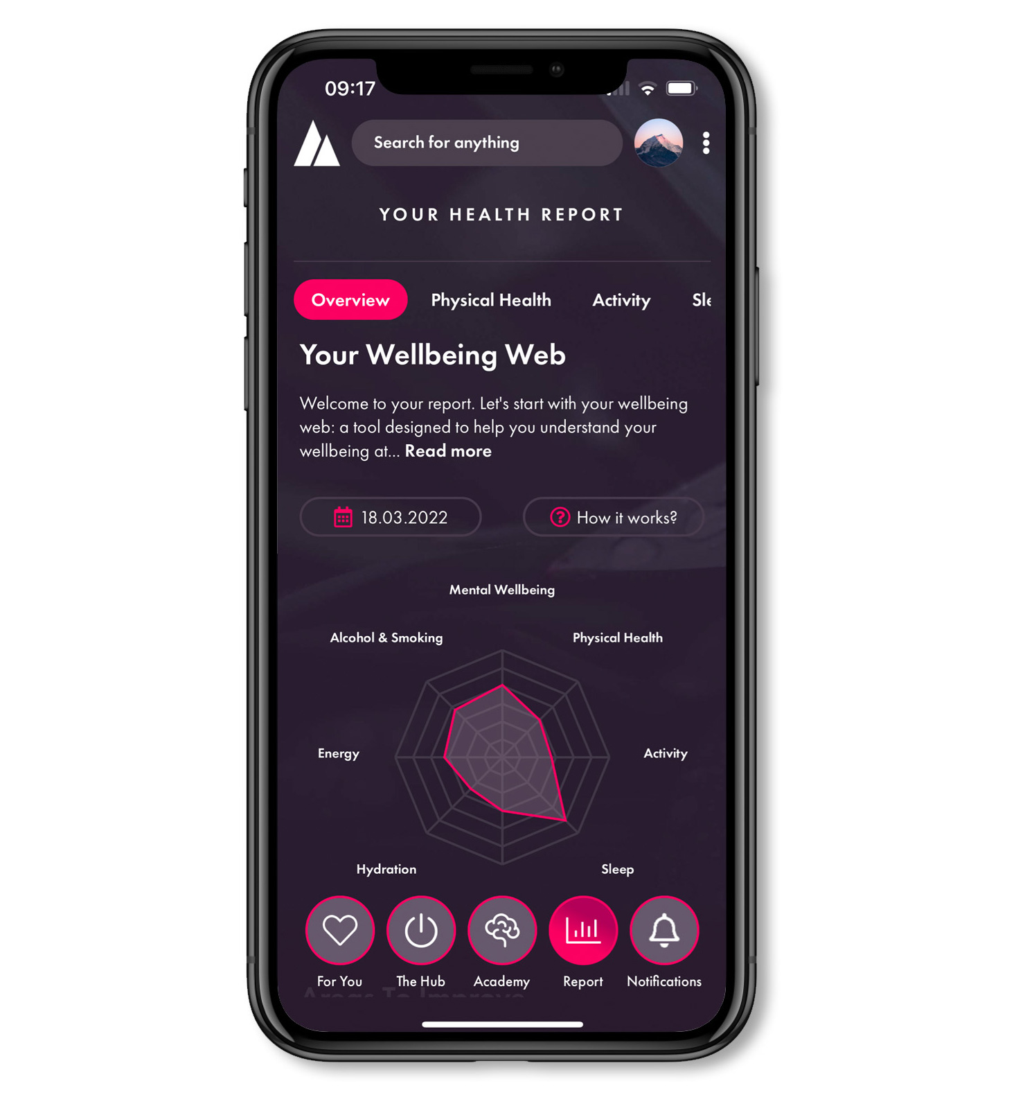 The Champion Health Wellbeing Web
